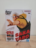 Figurine Vibration Stars - Taro Sakamoto