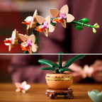 LEGO Botanique 10343 - L’orchidée miniature